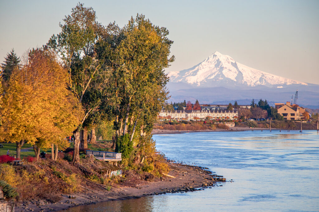 dentist in vancouver